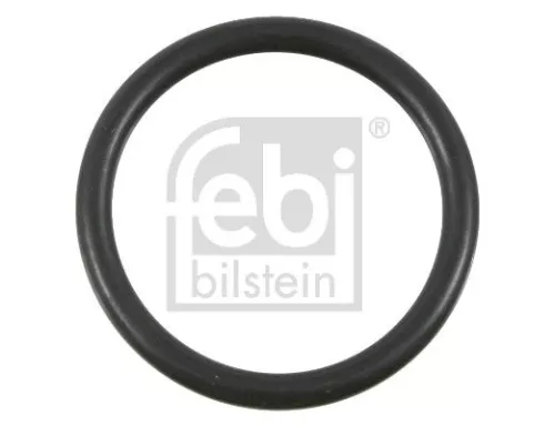 Seal Ring, steering knuckle