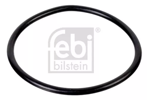 Seal Ring, steering knuckle