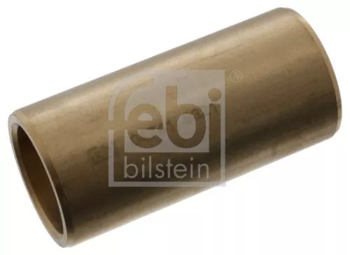 Bushing, leaf spring