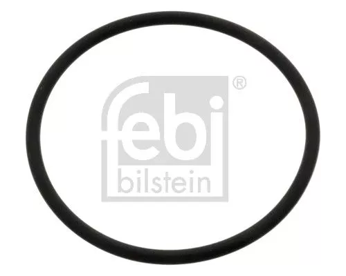 Seal Ring, steering knuckle