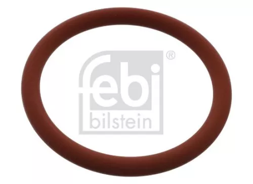 Seal Ring, exhaust pipe