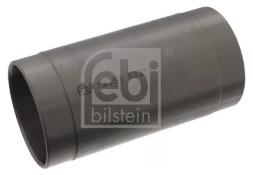 Bushing, leaf spring