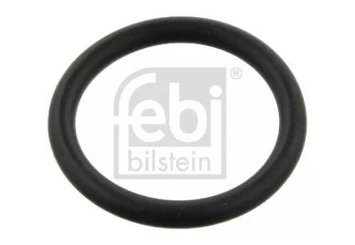 Seal Ring, steering knuckle