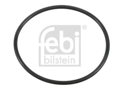 Seal Ring, steering knuckle