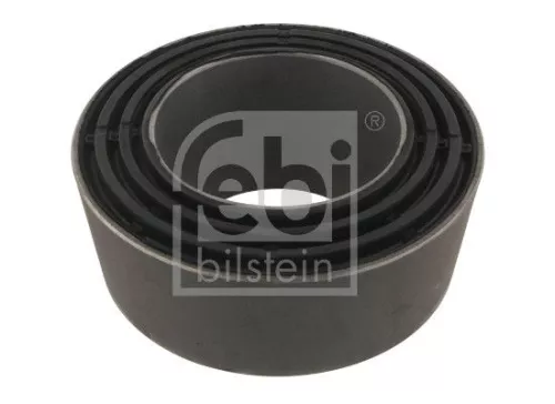 Mounting, leaf spring