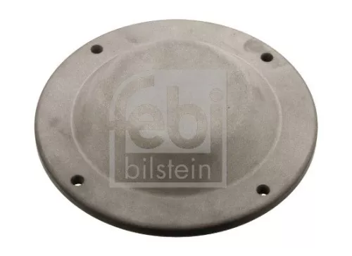 Protection Lid, wheel hub