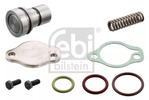 Repair Kit, pressure relief valve (air compressor)