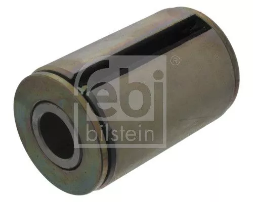 Bushing, leaf spring