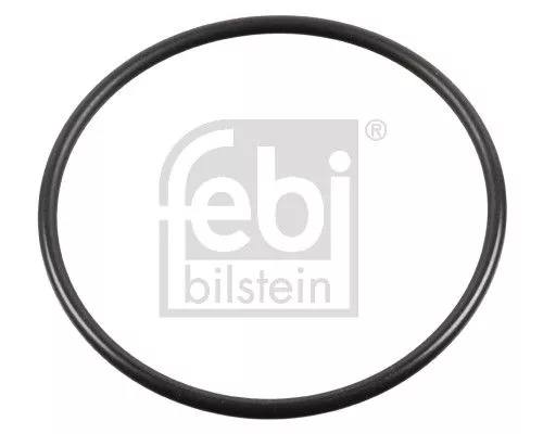 Seal Ring, steering knuckle