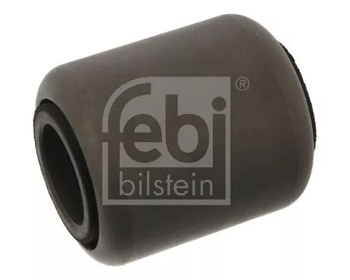 Bushing, leaf spring