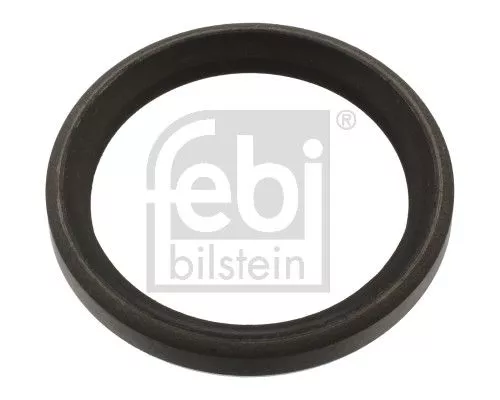 Seal Ring, steering knuckle