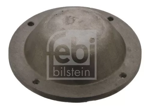 Protection Lid, wheel hub