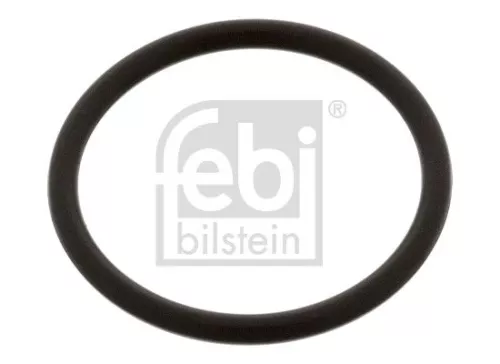 Seal, injector holder