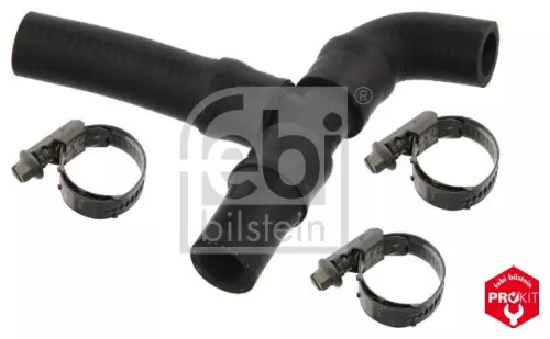Radiator Hose