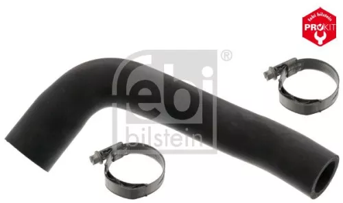 Radiator Hose