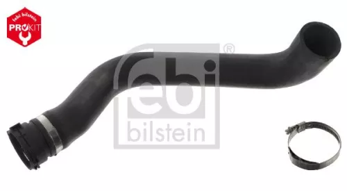 Radiator Hose