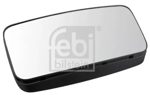 Exterior Mirror, driver cab