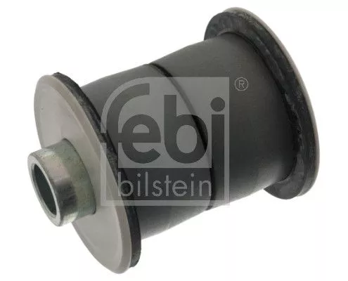 Bushing, leaf spring