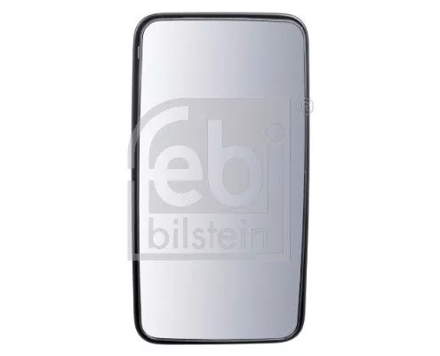 Exterior Mirror, driver cab