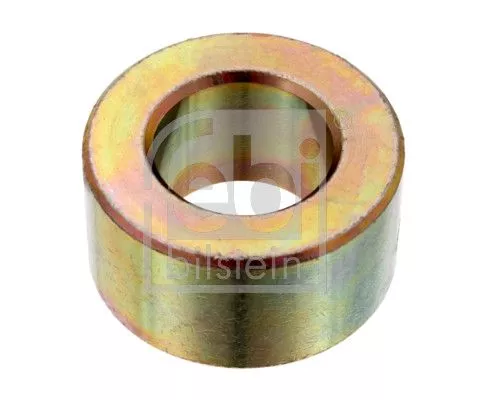 Bushing, leaf spring