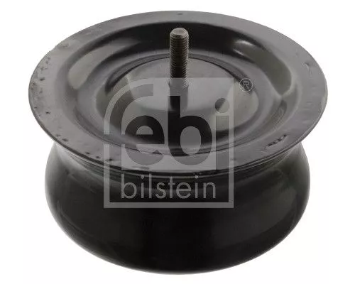 Roll-off Piston, air suspension bellows