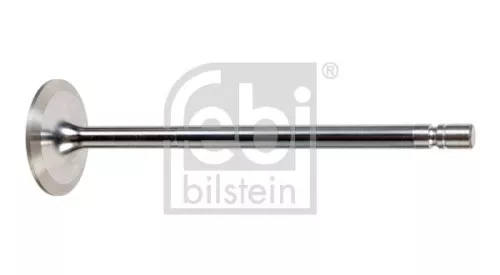 Intake Valve