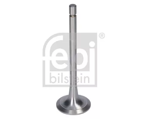 Intake Valve