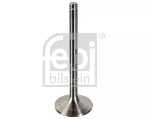 Intake Valve