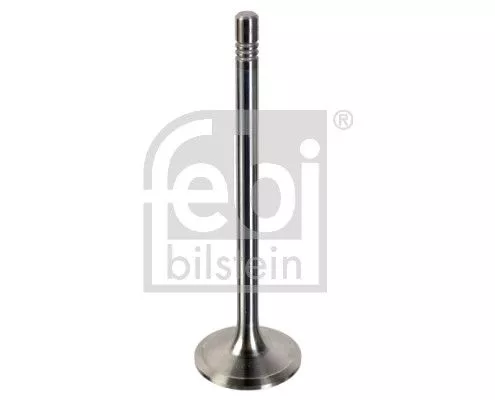 Intake Valve