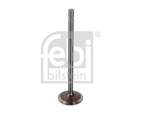 Intake Valve