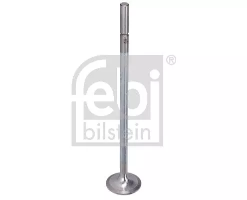 Intake Valve