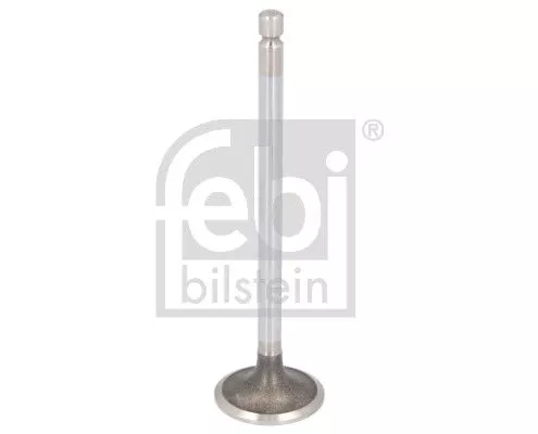 Intake Valve