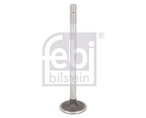 Intake Valve