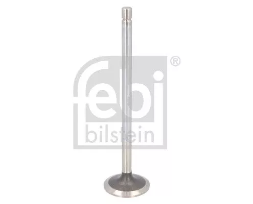 Intake Valve