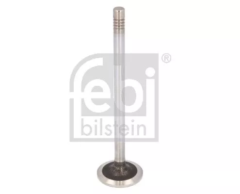 Intake Valve