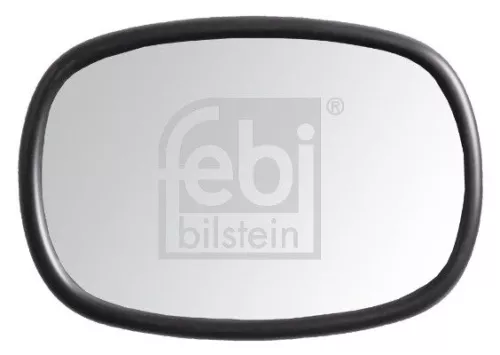 Exterior Mirror, driver cab