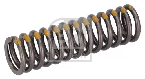 Valve Spring
