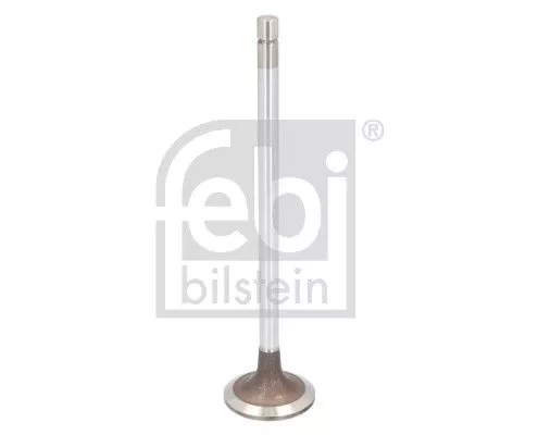 Intake Valve