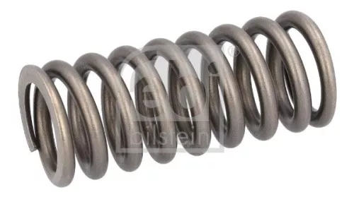 Valve Spring