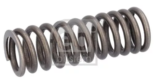 Valve Spring