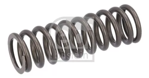 Valve Spring
