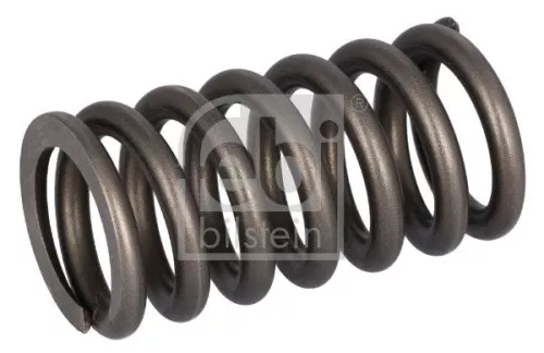 Valve Spring