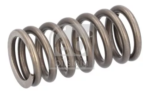 Valve Spring