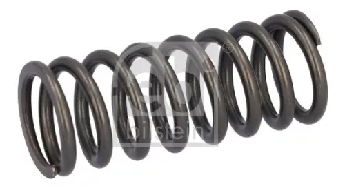 Valve Spring