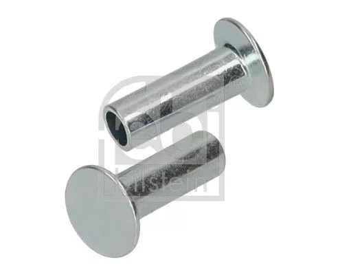 Rivet, drum brake lining